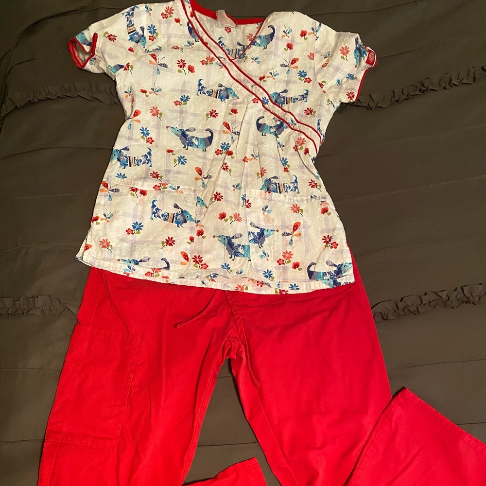Dickies scrub set